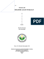 Makalah Metabolisme Asam Nukleat - Rina Ika Octaviana (8216142005)