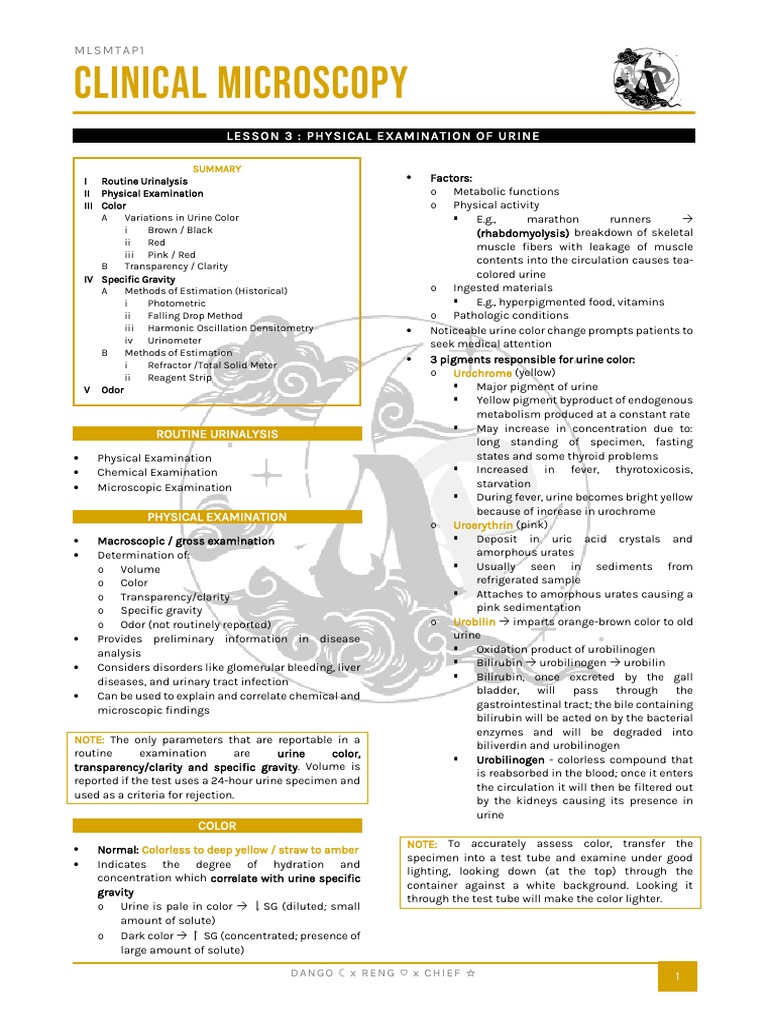 3 Physical Examination of Urine PDF Urine Urinary System