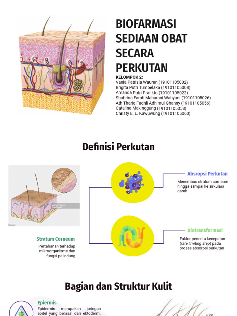 Kelompok 2 - Biofarmasi Sediaan Obat Secara Perkutan | PDF