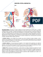 Teorico 2 Transición Fetal-Neonatal