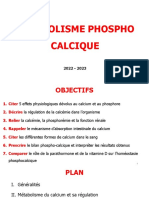 Metabolisme Phospho Calcique