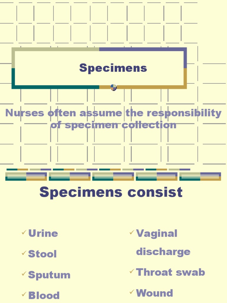 10A Specimen Collection PDF Urine Medicine