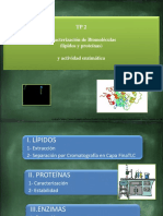 FTE 2 Proteínas y Lípidos