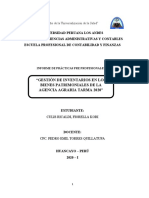 Informe de Practicas Pre Profesional II - Fiorella (1)