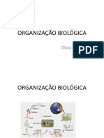 Organização Biológica