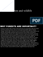 Forests and Wildlife SST Project by YUVIKA VERMA XD