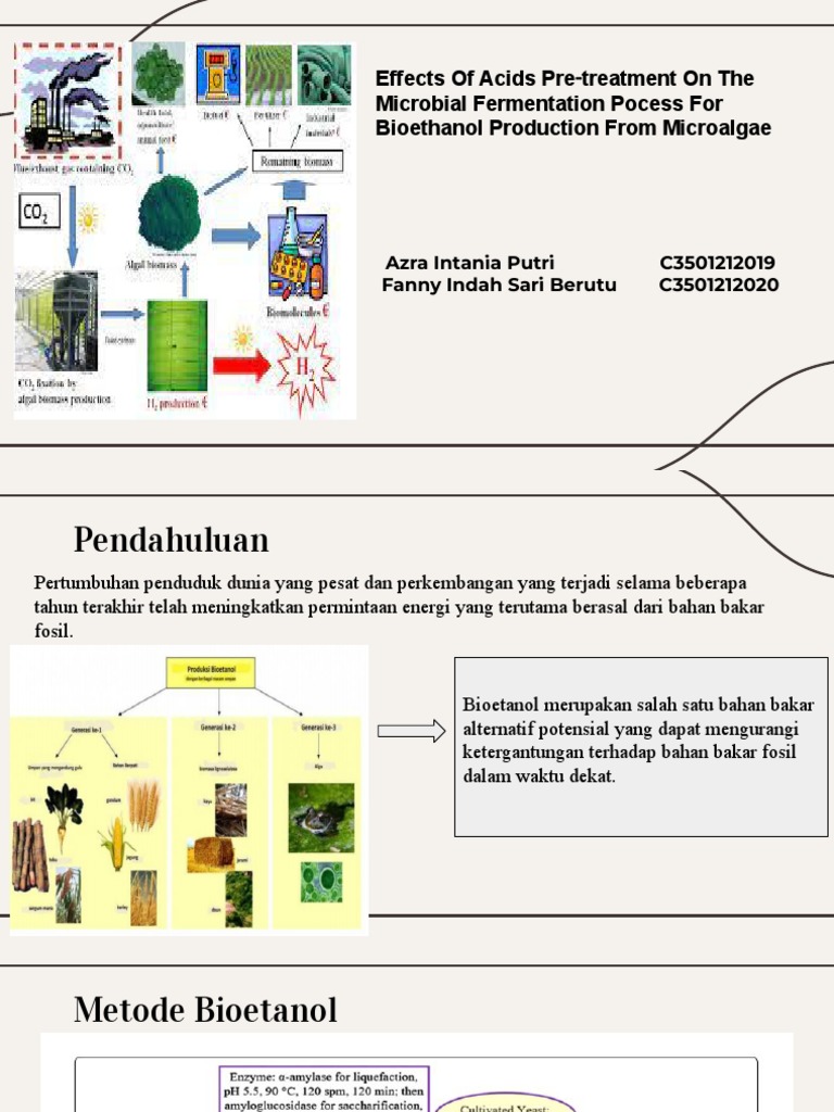 Gaun Malam Bercahaya Diperbuat daripada Mikroalga Bioteknologi