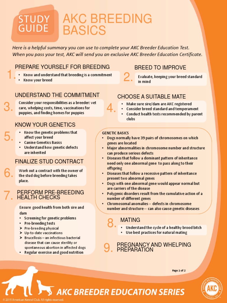 Akc Breeding Basics Course Study Guide PDF Dog Breeding