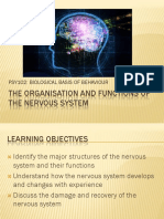 Organisation and Functions of The Nervous System