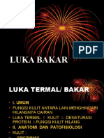 Luka Bakar