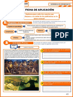 3°grado CC - SS Ficha de Aplicación