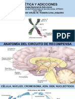 Appadic, Conferencia, Junio 2022