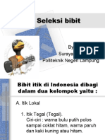 Seleksi Bibit Itik