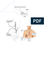 Accesos (Autoguardado)