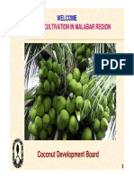Kozhikode Invest Meet 11 1 13 Coconut Cultivion Malabar