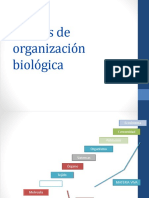 Niveles de Organización Biológica