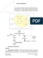 Resumen BEBIDAS FERMENTADAS