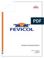 Fevicol Marketing Strategies