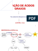 Oxidação de ácidos graxos