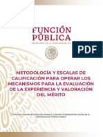 METODOLOGIA Y ESCALAS DE CALIFICACION