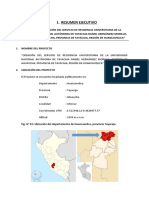 01.resumen Ejecutivo