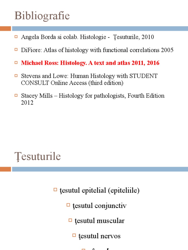 Tesutul Epitelial 1 | PDF