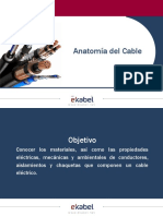 Cable Anatomy