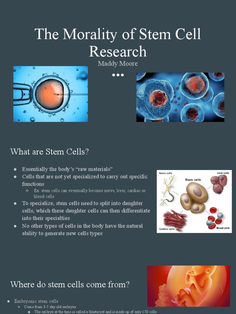 Moral Quandary Stem Cells 1 PDF Stem Cell Embryonic Stem Cell