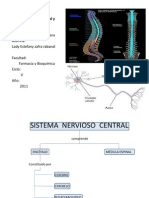 Sistema Nervioso Central