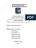 Informe Fruta Confitada