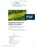 Fungicidas_ Combatir los hongos en las plantas - AgroSpray Blog