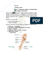 Trabajo Sobre Protocolos Cuerpo Obesidad