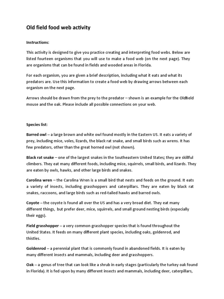 Old Field Food  Activity PDF