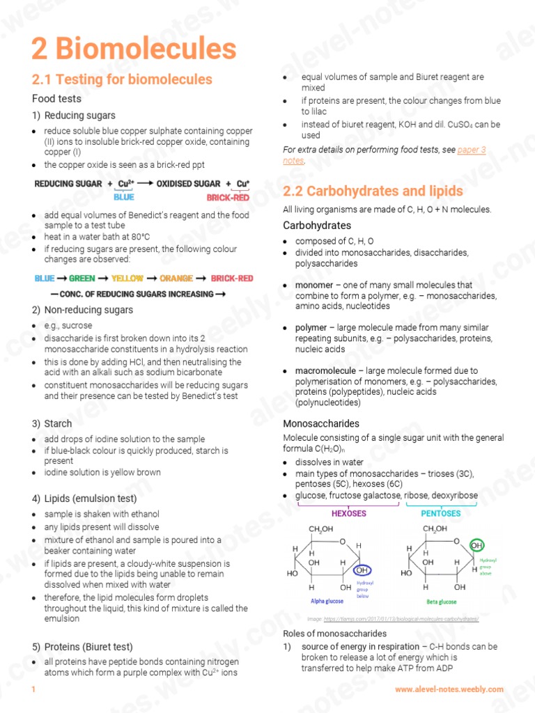 2 Biomolecules Pdf