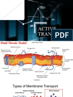 Active Transport 1