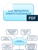 Semana 10 Principios Constitucionales