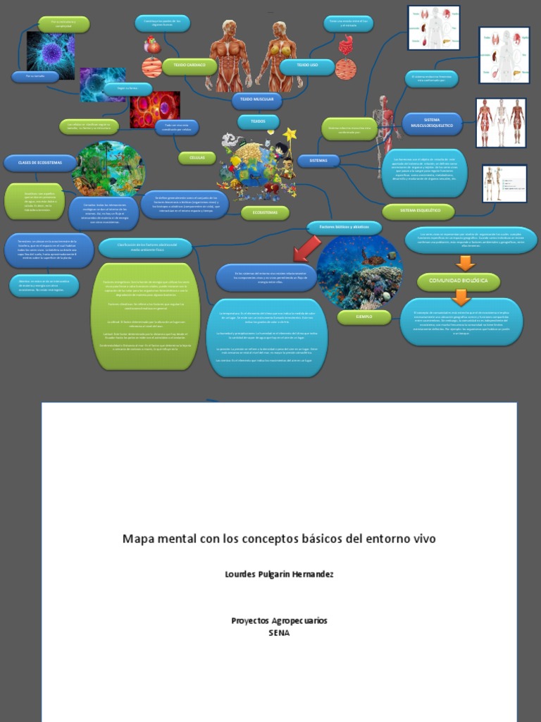 Mapa mental del entorno vivo y ecosistemas | PDF | Clima | Ecosistema