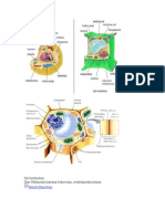 Perbedaan Sel