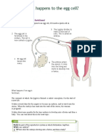 CC8 - Unit 5.3 - Coursebook