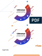 Liderança - As Boas Práticas e Descobertas Do Líder