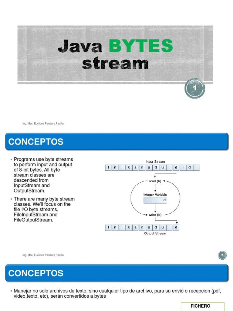Java Bytes Stream - FileInputStream y Output | PDF