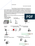 Registro respiratorio rata