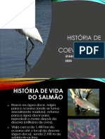 4 - Aula 5 e 6 - Historia Da Vida e Coevolução