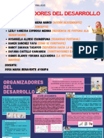 Organizadores Del Desarrollo