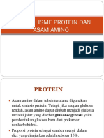 Metabolisme - Protein - Dan - Asam - Amino Analis