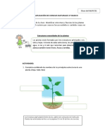 Guia de Aplicación de Ciencias Naturales 1º Basico.1