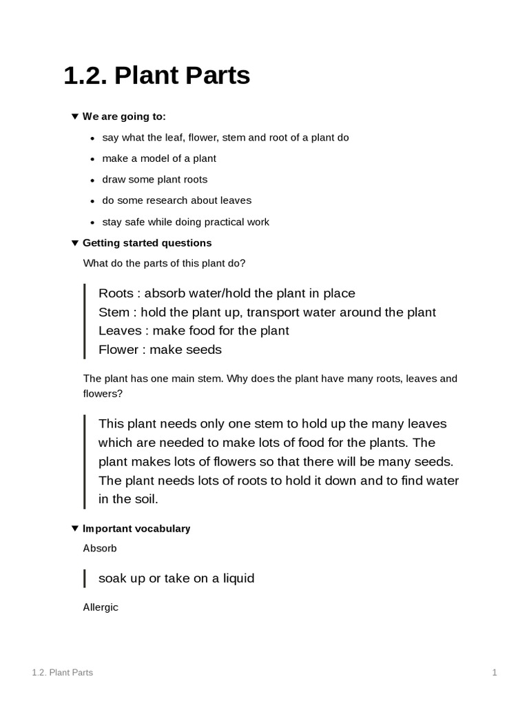 Plant Parts | PDF