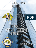 Informe - Fusión y Escisión de Sociedades - Finance Guys