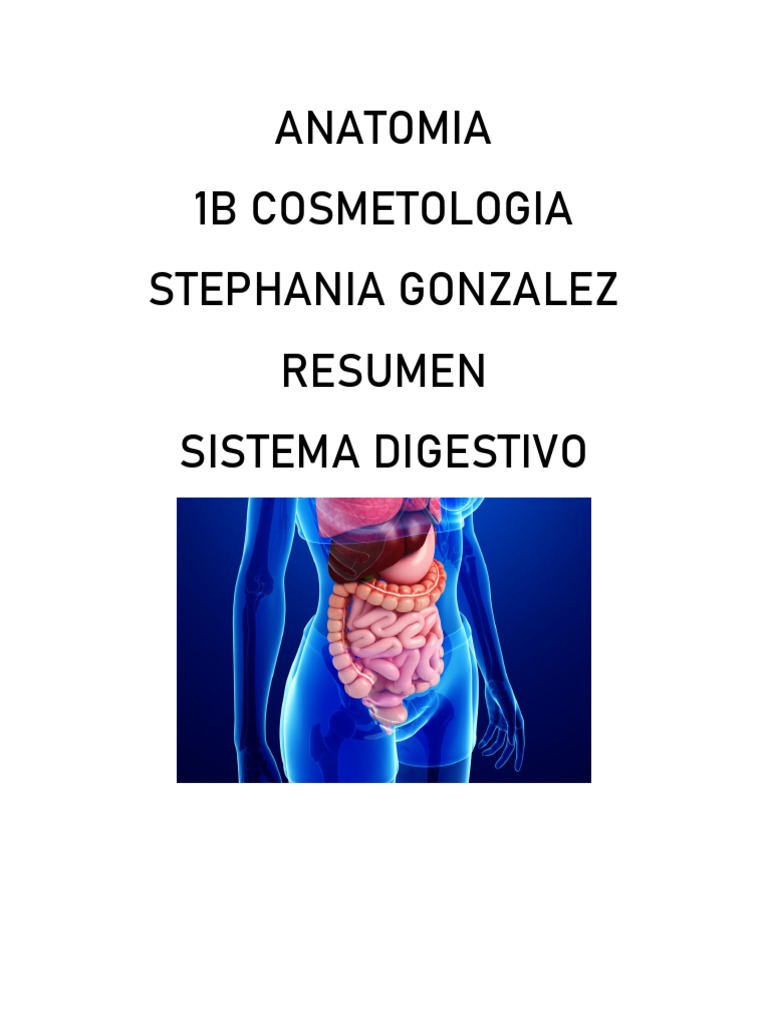 Anatomia Resumen Pdf