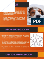 Farmacología 2.2 Acepromacina
